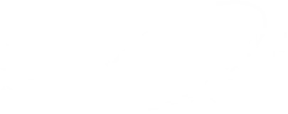 Star Name Registry landscape logo
