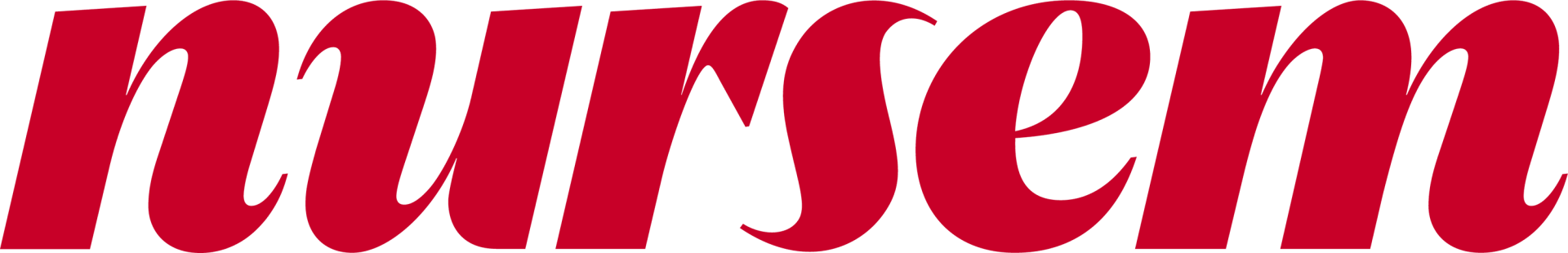 Nursem Logo - landscape